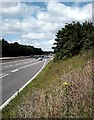 A12, Witham Bypass