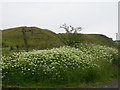 The start of the bridleway with old spoil heaps beyond