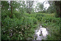 Footpath to River Great Ouse