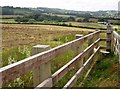 Fallow field at Little Duxmore