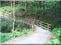 Footbridge over Nant Rhaeadr