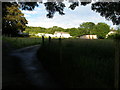 Beili Glas Farm stands out in the evening sun