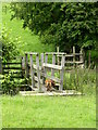 Footbridge at end of Two Brooks Valley