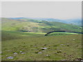 SJ0837 : Hillside above the tributary valley of Nant Gwyn by Eric Jones
