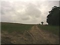 Hill near Wingfield Priory from Top Road