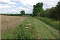 Bridleway to Harrold