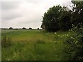 Footpath heading towards the River Waveney