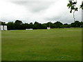 Elton Cricket Pitch