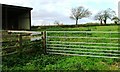 Start of Footpath to West Harlsey