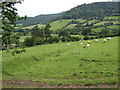 The slopes of Wenallt