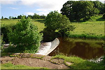 NU1913 : Weir on river Aln by Ian Warburton