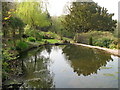 Garden pond at Rock Cottage