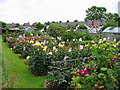 Peel Brow Allotments