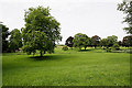 Park like field near Townsend Farm, Over Wallop