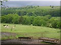 Cattle feed troughs