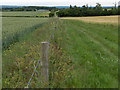 Footpath, Quarley