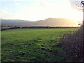 Carn Ingli across winter fields