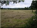 Feddans Townland