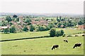 Queen Camel from Sparkford Hill