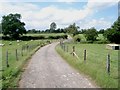 Track near Elms Farm