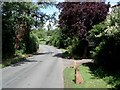 Lane at Gabbs Farm