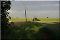 Farmland near Harrington Lodge