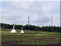 Field of Corn, Teepees and Telecoms Masts