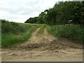 Track near Oldfield Cottages