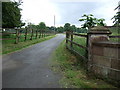 SJ8166 : Driveway to Swettenham Hall by Gethin Evans