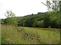 Pasture beside Afon Gwydol