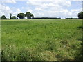 Countryside south of Flixton Hall, Suffolk