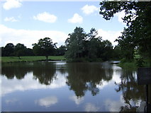 TM3292 : Reflected; lake in Ditchingham Park by Jonathan Billinger