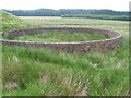 Sheepfold near Risland Knowes