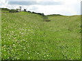 NY8069 : The Vallum near Sewing Shields Farm by Mike Quinn