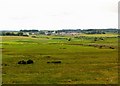 Kirkcowan from near Killeal