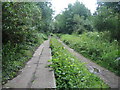 Crouch End: Former railway station