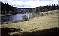 View from Home Farm towards Tumbleton Lake