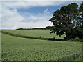 Arable land and UFO near Fourstones