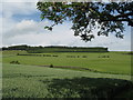 Arable land near Park Shield