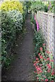 Path Between Gardens, Swainby