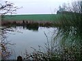 Pond Off Hall Park Road