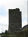 S6352 : Ballyshawnmore Castle by liam murphy