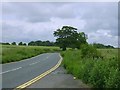 Lane/Road leading to Dinnington village