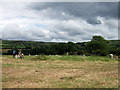 Dyffryn Syfynwy stone circle from the west