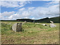 Dyffryn Syfynwy stone circle from the south