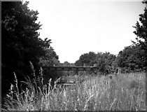 SU8752 : Sylvester Bridge, Basingstoke Canal by Dr Neil Clifton
