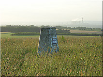 SU5382 : Trig point, Lowbury Hill by Andrew Smith