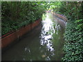 Wealdstone Brook in Kenton