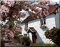 White Cottage, The Square, Alveston