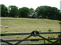 Barch Farm, Nr. Gignog, Pembrokeshire